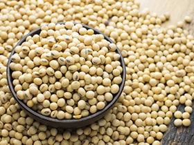 brazilian soybean export